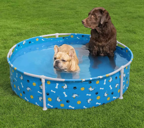 Piscina Estrutural Para Animais de Estimação Pet